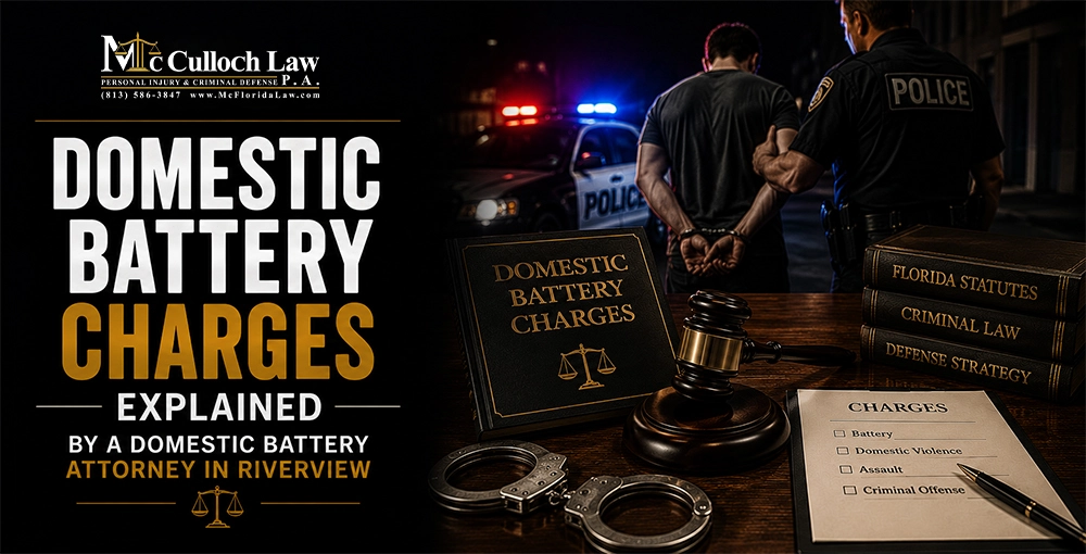 Domestic Battery Charges Explained by a Domestic Battery Attorney in Riverview