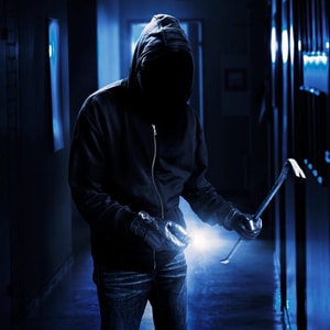 burglary of a conveyance florida defenses burglary of a conveyance florida defenses